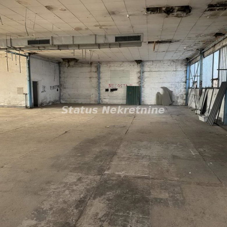 Lokal Izdavanje Novi Sad  300 m2