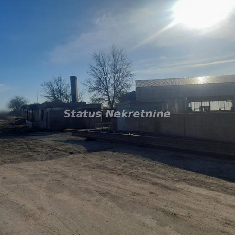 Lokal Izdavanje Novi Sad  300 m2