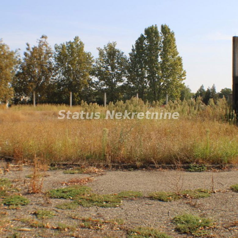 Lokal Izdavanje Temerin  590 m2