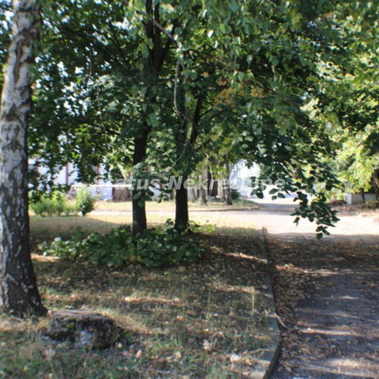 Lokal Izdavanje Temerin  590 m2