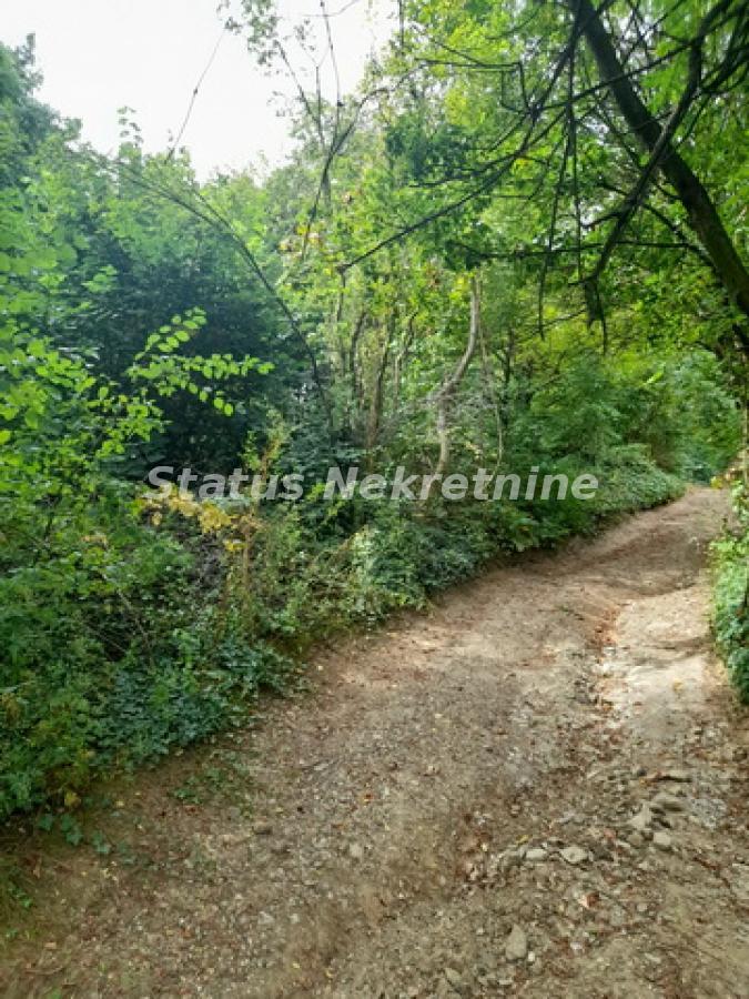 Plac Prodaja Sremski Karlovci Plac Prodaja Sremski Karlovci 0 m2