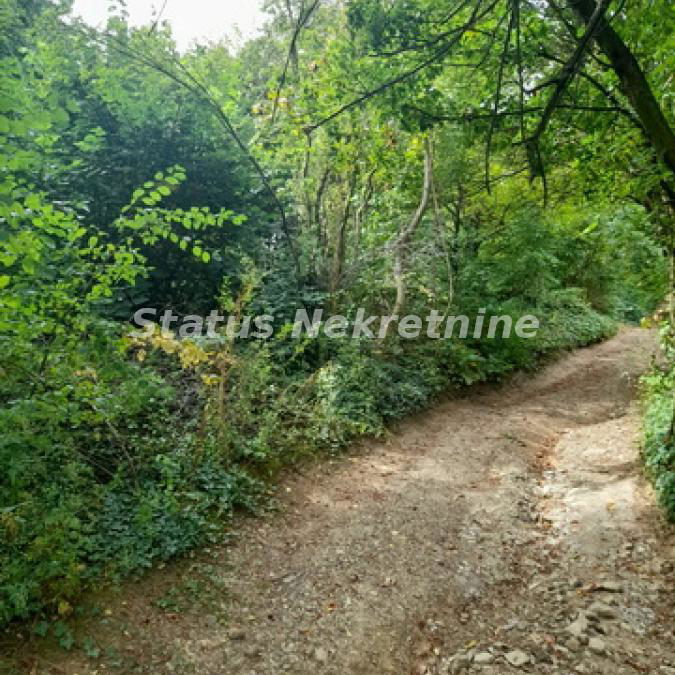 Plac Prodaja Sremski Karlovci  0 m2