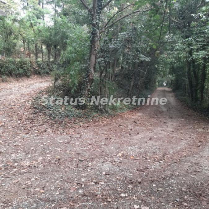 Plac Prodaja Sremski Karlovci  0 m2