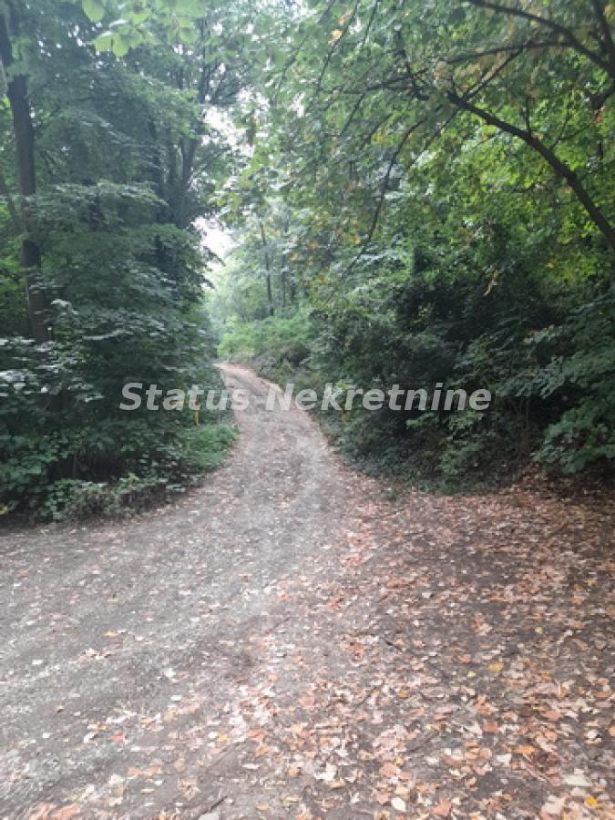 Plac Prodaja Sremski Karlovci Plac Prodaja Sremski Karlovci 0 m2