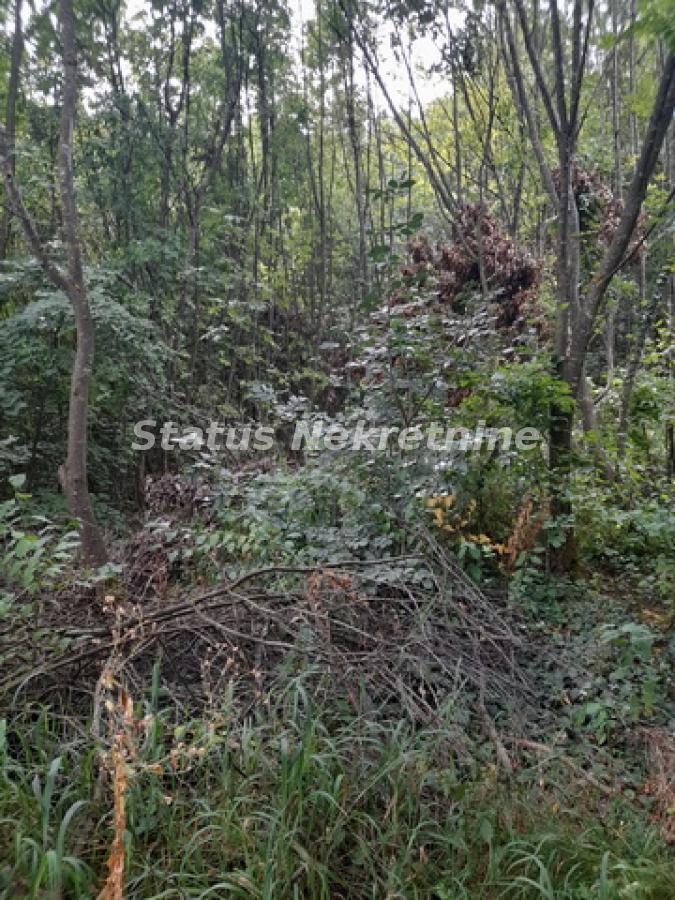 Plac Prodaja Sremski Karlovci Plac Prodaja Sremski Karlovci 0 m2
