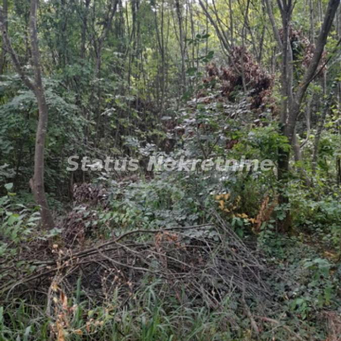 Plac Prodaja Sremski Karlovci  0 m2