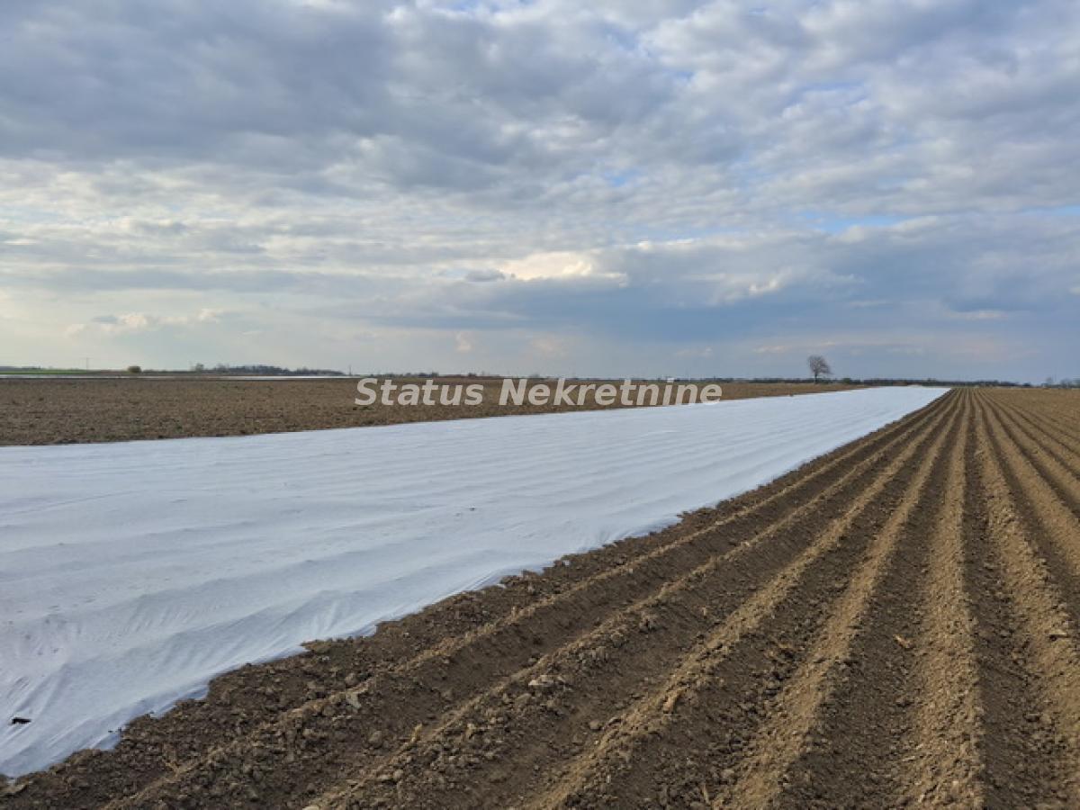 Plac Prodaja Novi Sad Plac Prodaja Novi Sad 12710 m2