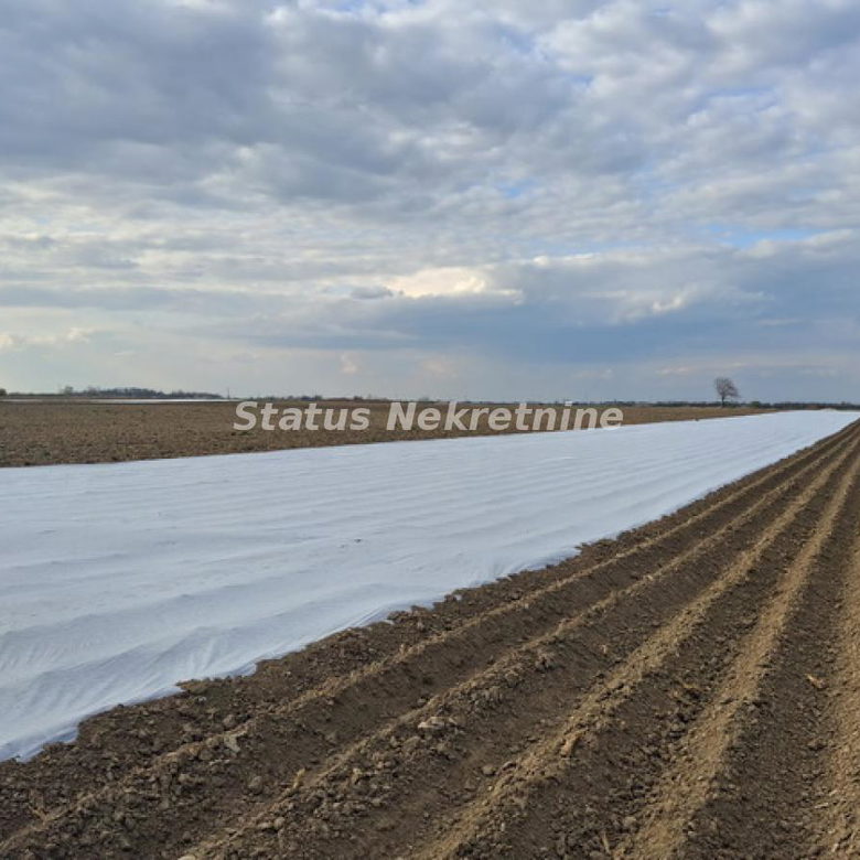 Plac Prodaja Novi Sad  12710 m2