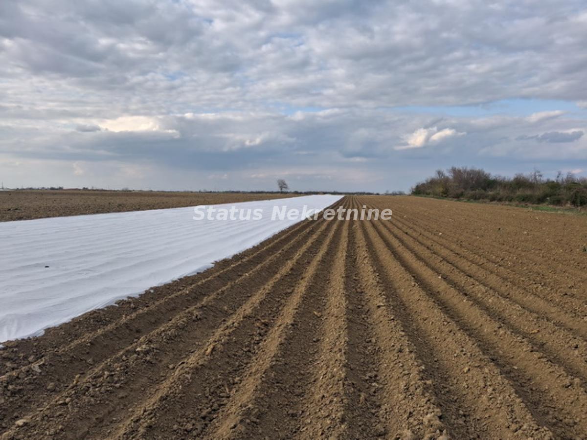 Plac Prodaja Novi Sad Plac Prodaja Novi Sad 12710 m2