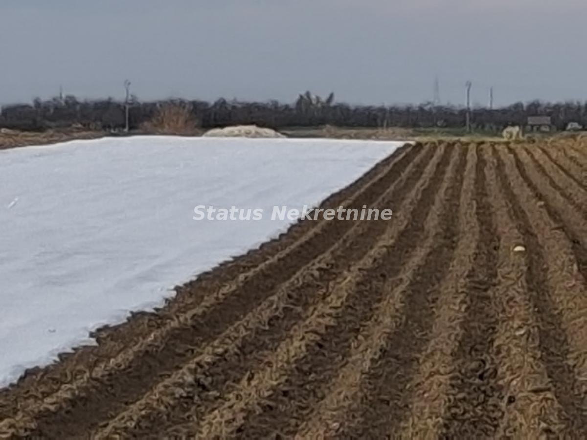 Plac Prodaja Novi Sad Plac Prodaja Novi Sad 12710 m2