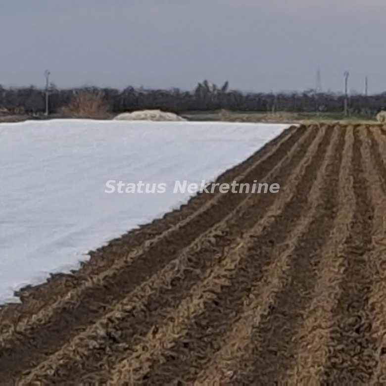 Plac Prodaja Novi Sad  12710 m2