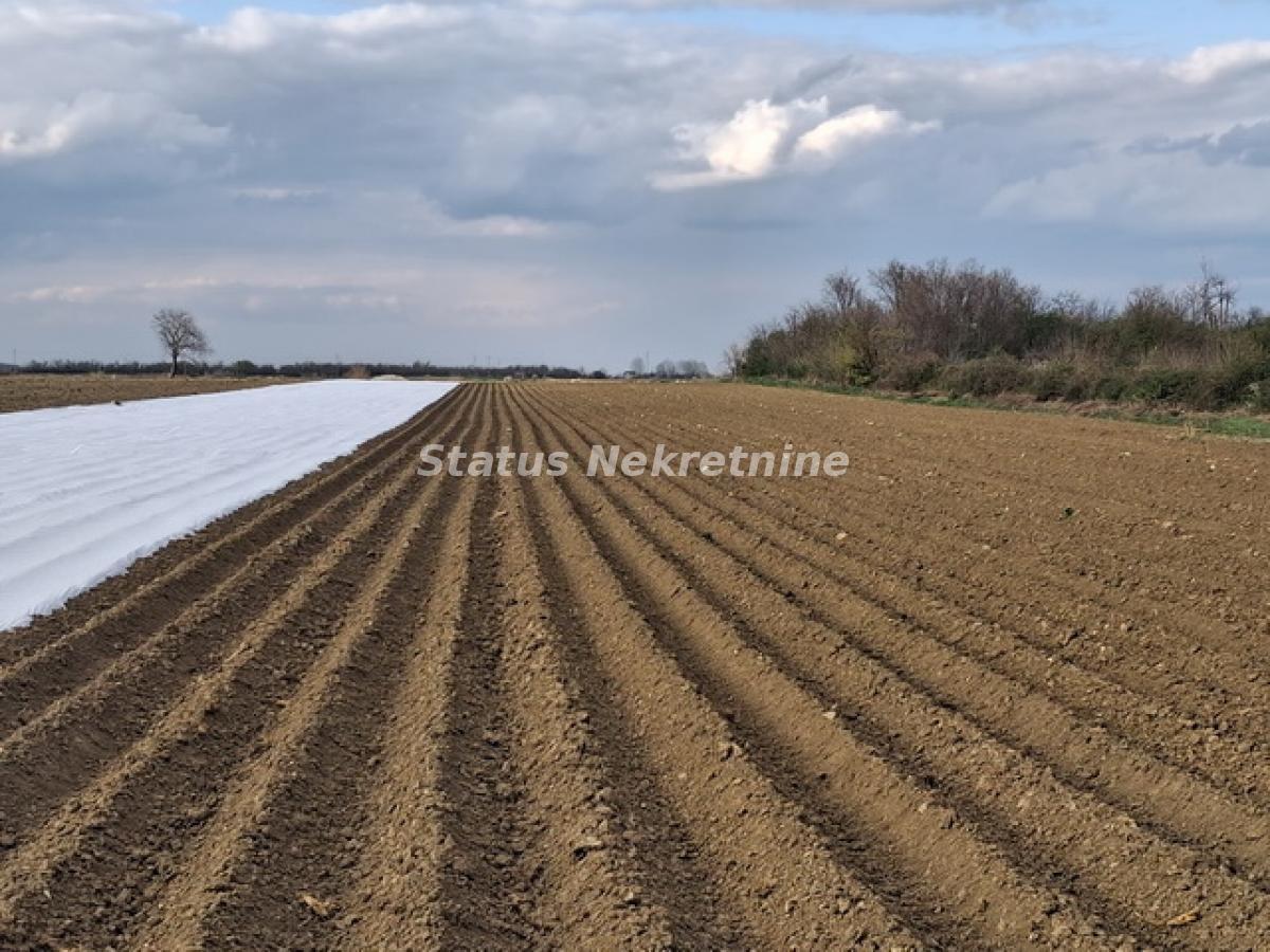 Plac Prodaja Novi Sad Plac Prodaja Novi Sad 12710 m2
