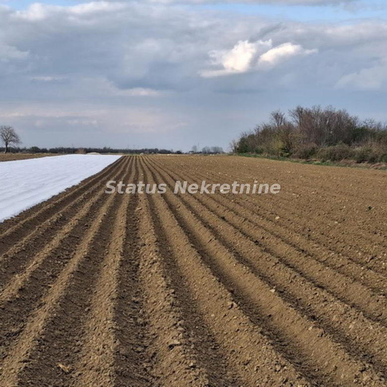 Plac Prodaja Novi Sad  12710 m2