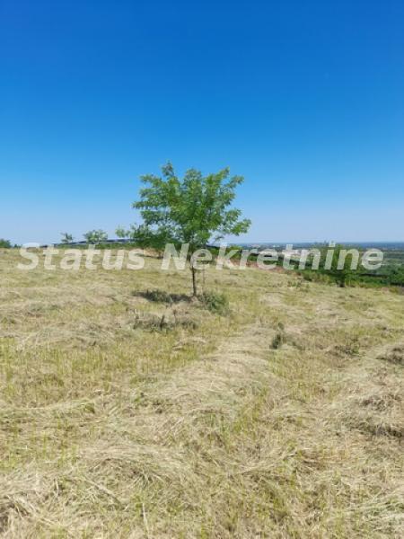 Plac Prodaja Novi Sad Plac Prodaja Novi Sad 0 m2