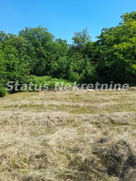 Plac Prodaja Novi Sad Plac Prodaja Novi Sad 0 m2