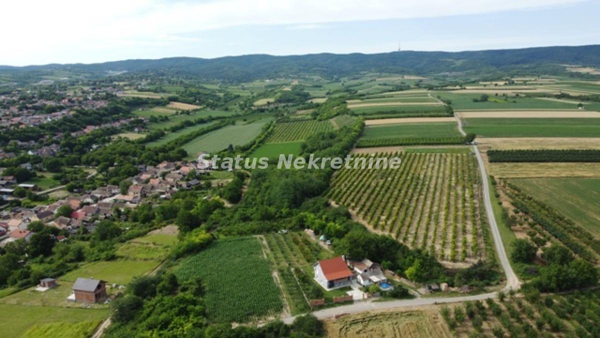 Plac Prodaja Irig Plac Prodaja Irig 0 m2
