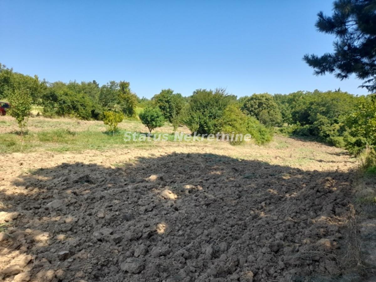 Plac Prodaja Inđija Plac Prodaja Inđija 0 m2