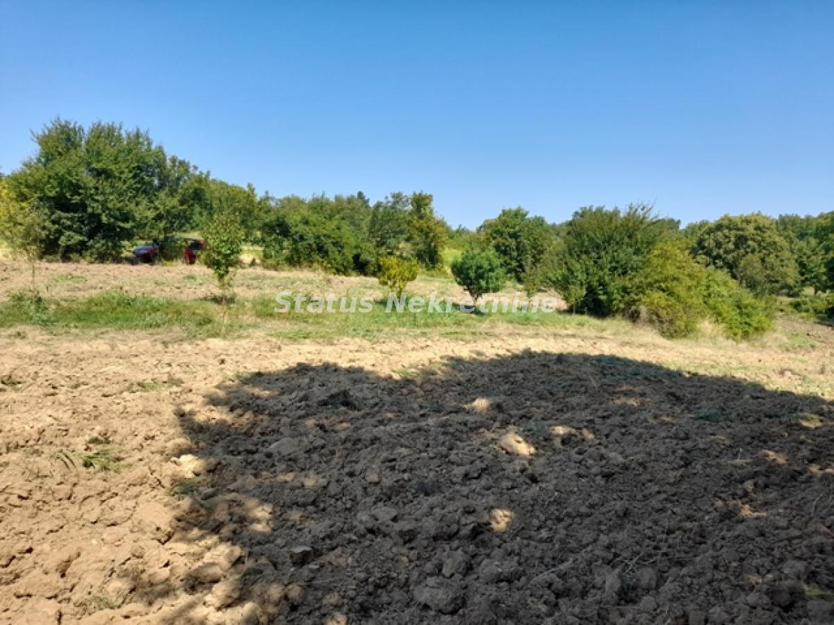 Plac Prodaja Inđija Plac Prodaja Inđija 0 m2