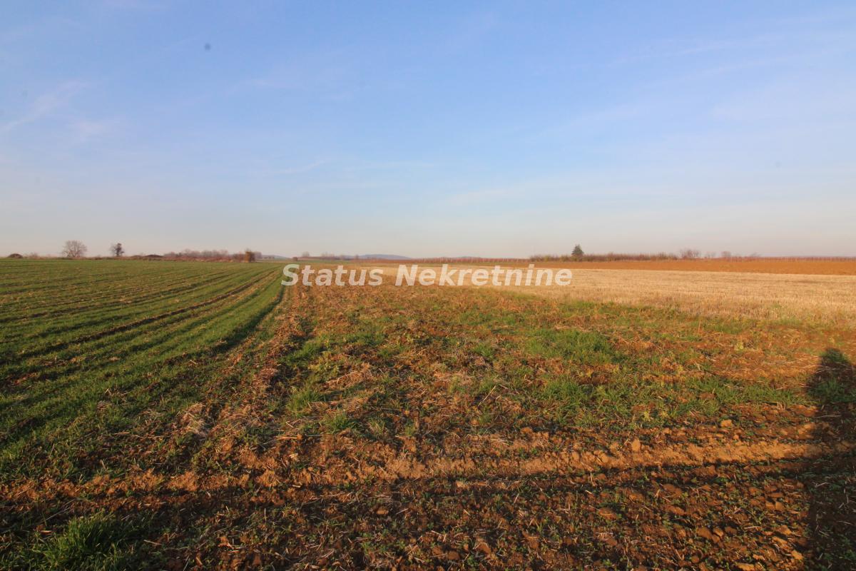 Plac Prodaja Irig Plac Prodaja Irig 0 m2