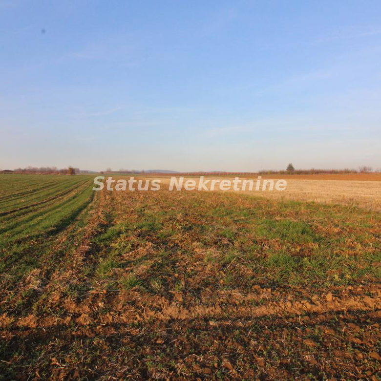 Plac Prodaja Irig  0 m2