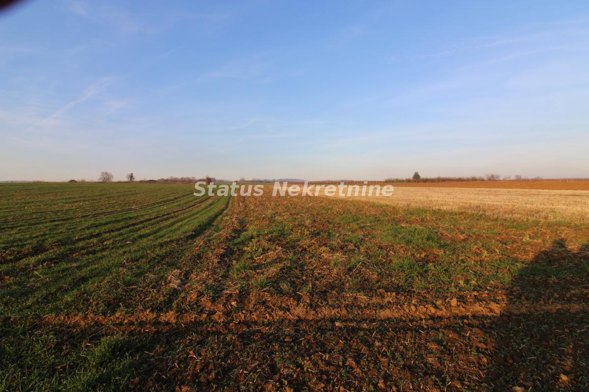 Plac Prodaja Irig Plac Prodaja Irig 0 m2