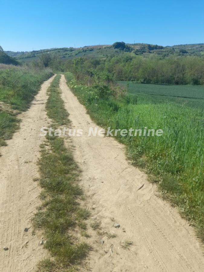 Plac Prodaja Sremski Karlovci  0 m2