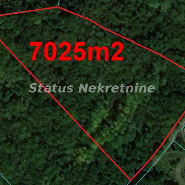 Plac Prodaja Sremski Karlovci  0 m2