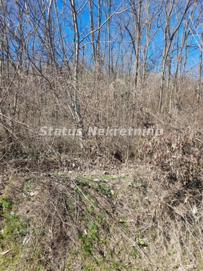 Plac Prodaja Sremski Karlovci Plac Prodaja Sremski Karlovci 0 m2