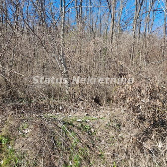 Plac Prodaja Sremski Karlovci  0 m2
