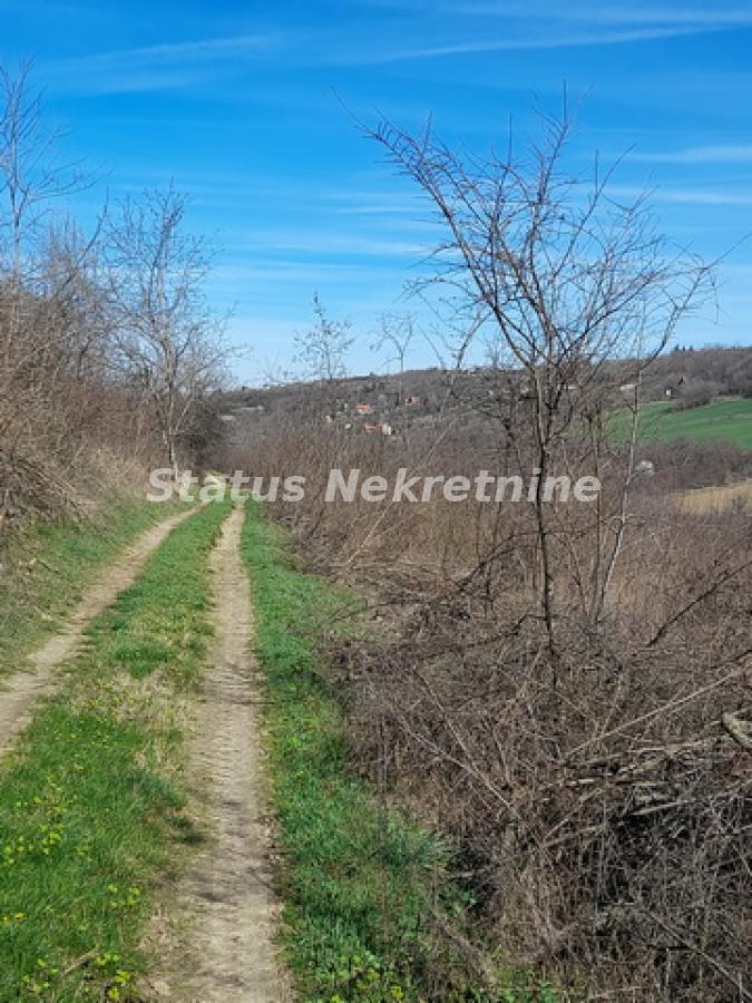 Plac Prodaja Sremski Karlovci Plac Prodaja Sremski Karlovci 0 m2