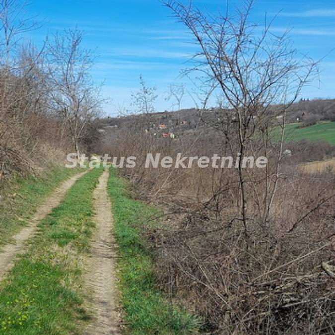 Plac Prodaja Sremski Karlovci  0 m2