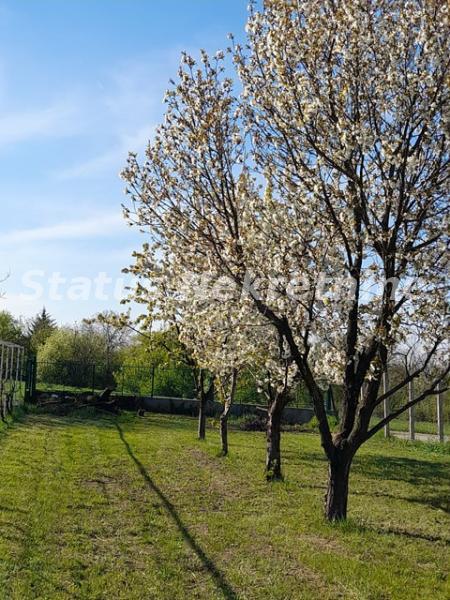 Kuća Prodaja Sremski Karlovci Kuća Prodaja Sremski Karlovci 134 m2
