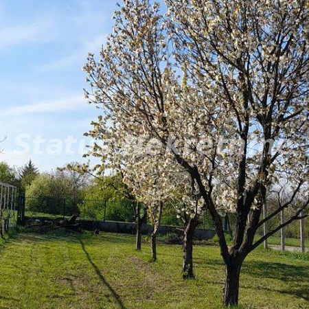 Kuća Prodaja Sremski Karlovci  134 m2