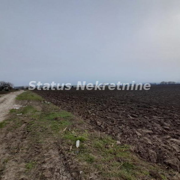 Plac Prodaja Novi Sad  0 m2