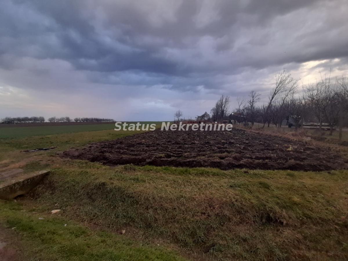 Plac Prodaja Novi Sad  0 m2