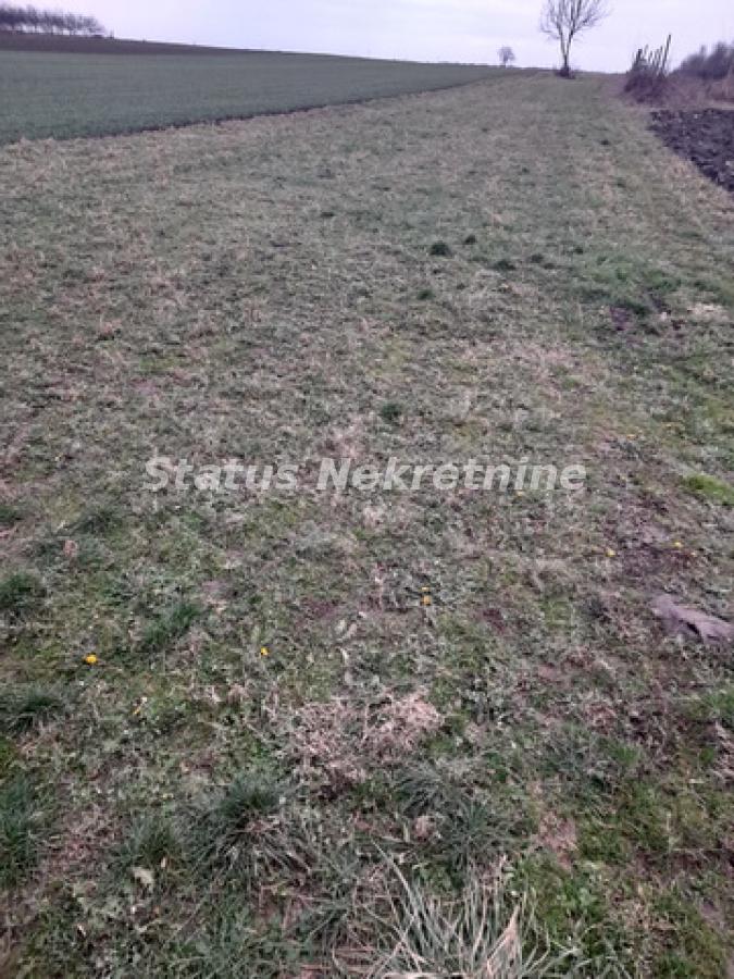 Plac Prodaja Novi Sad  0 m2