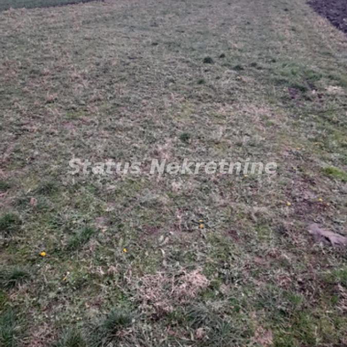 Plac Prodaja Novi Sad  0 m2