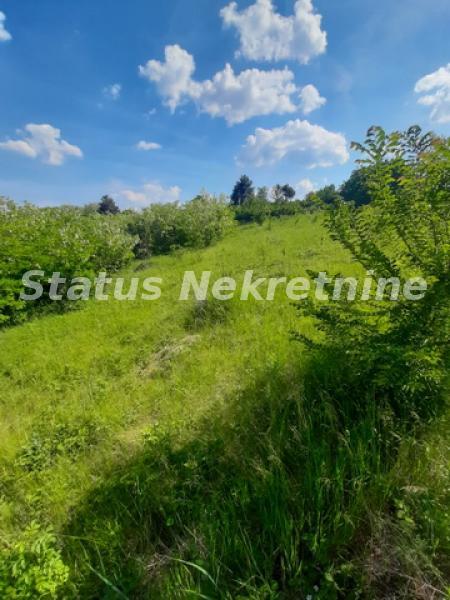 Kuća Prodaja Novi Sad  300 m2