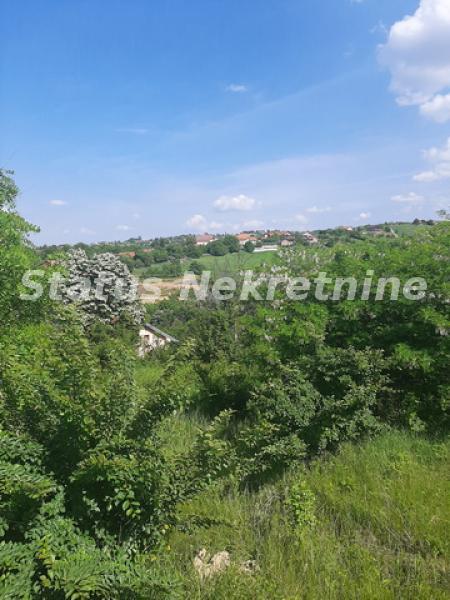 Kuća Prodaja Novi Sad  300 m2