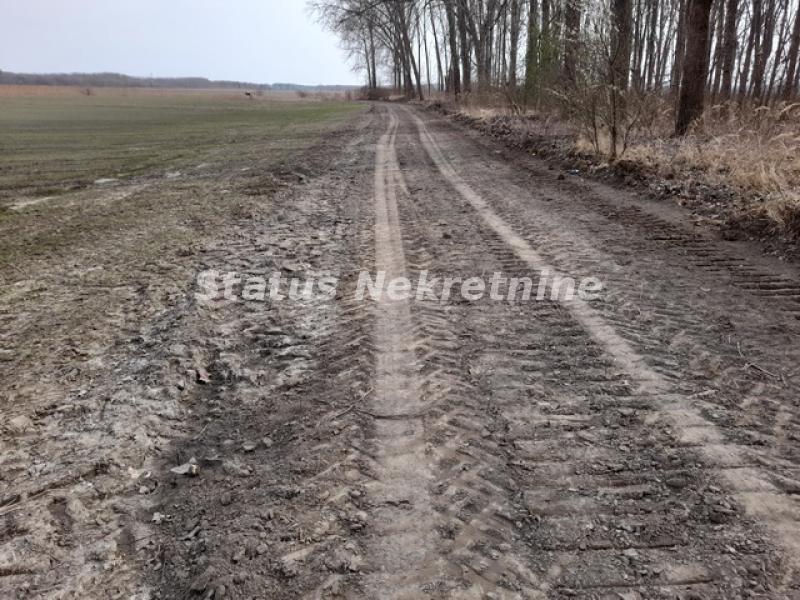 Plac Prodaja Novi Sad Plac Prodaja Novi Sad 0 m2
