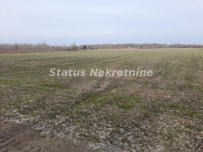 Plac Prodaja Novi Sad Plac Prodaja Novi Sad 0 m2