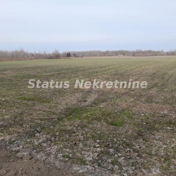 Plac Prodaja Novi Sad  0 m2