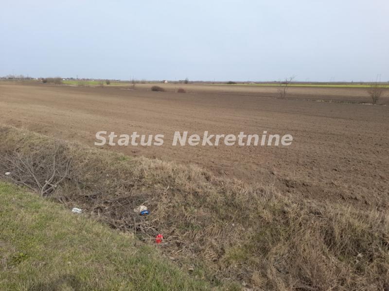 Plac Prodaja Žabalj Plac Prodaja Žabalj 0 m2