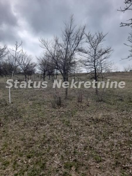 Plac Prodaja Novi Sad Plac Prodaja Novi Sad 0 m2