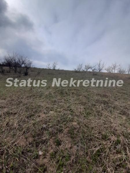 Plac Prodaja Novi Sad Plac Prodaja Novi Sad 0 m2
