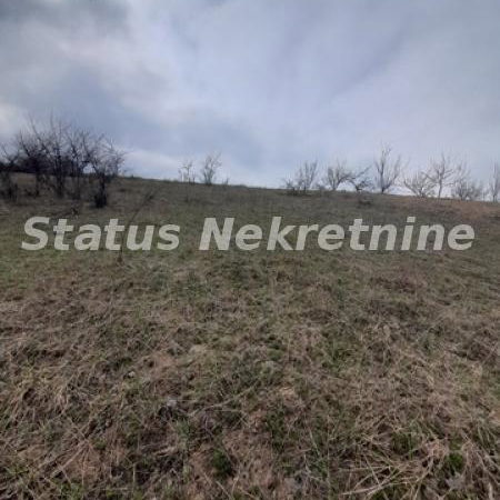 Plac Prodaja Novi Sad  0 m2