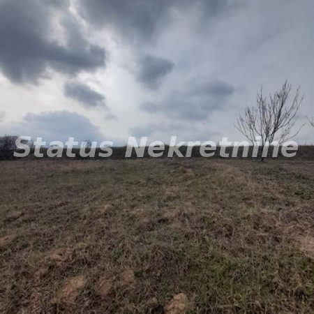Plac Prodaja Novi Sad  0 m2