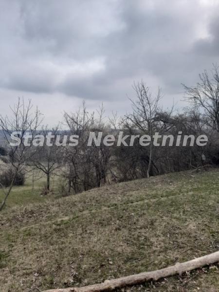 Plac Prodaja Novi Sad Plac Prodaja Novi Sad 0 m2