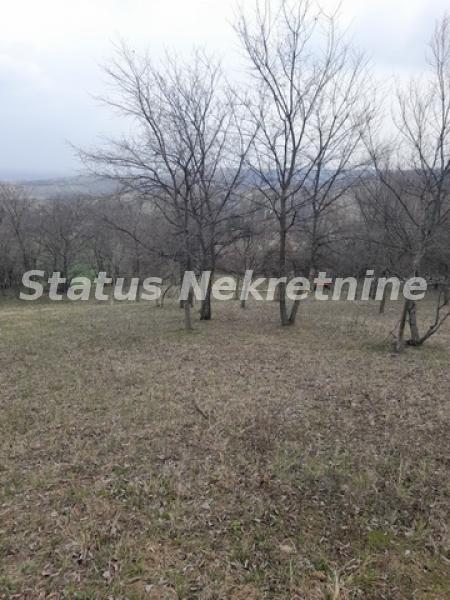 Plac Prodaja Novi Sad Plac Prodaja Novi Sad 0 m2