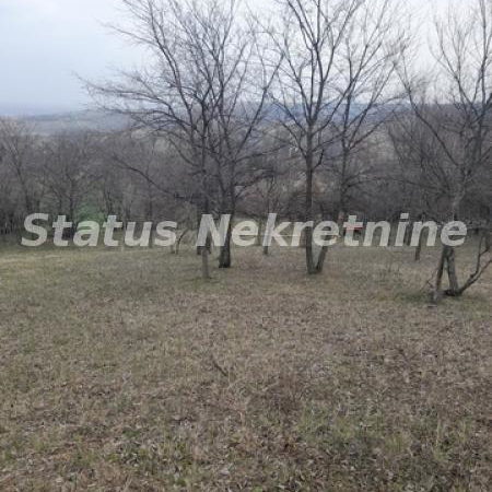 Plac Prodaja Novi Sad  0 m2